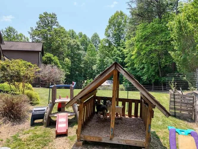 115 Dawsons Lane Murphy, NC 28906