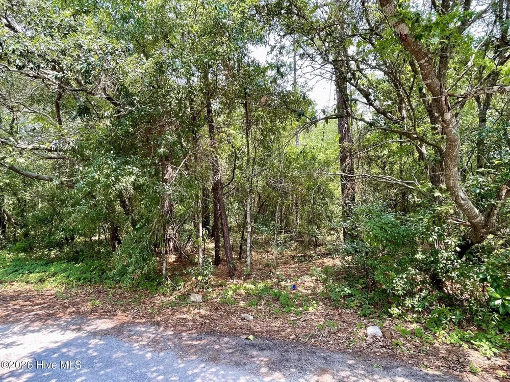 308 Alexander Place Wilmington, NC 28411