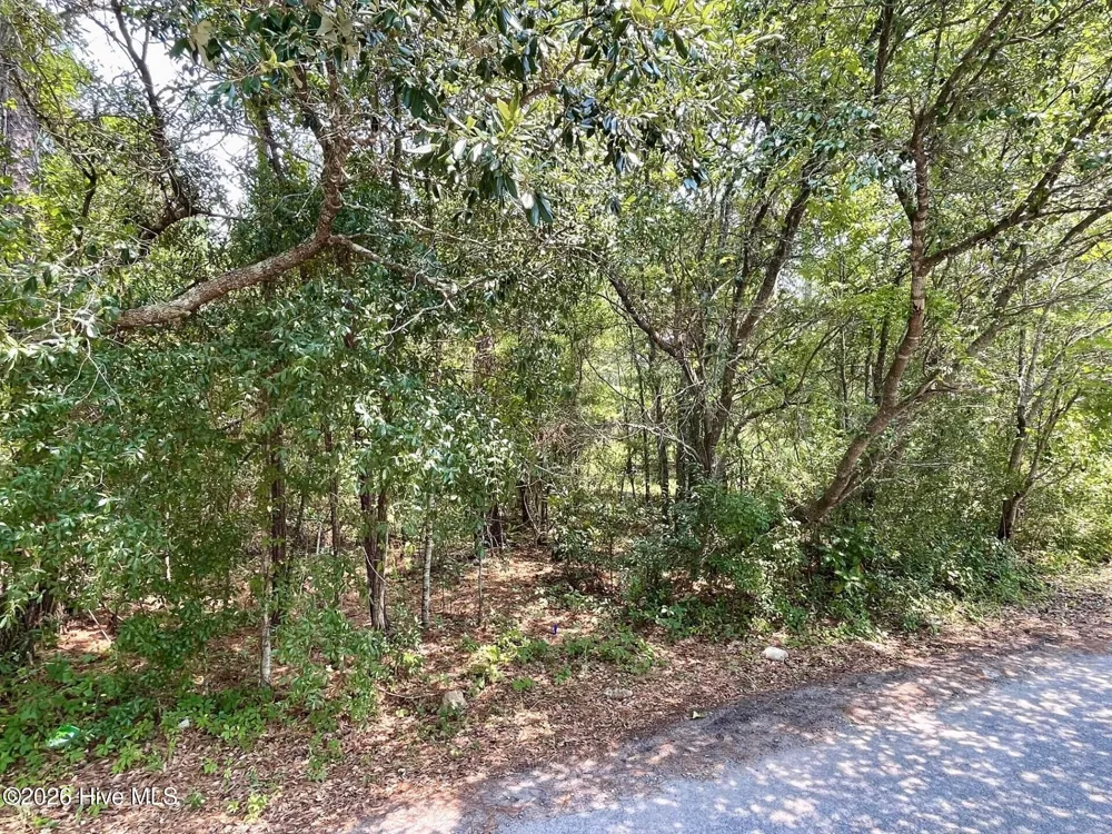 308 Alexander Place Wilmington, NC 28411