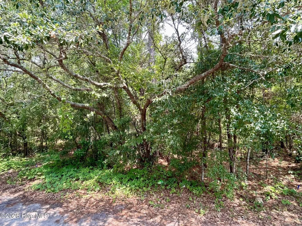 308 Alexander Place Wilmington, NC 28411