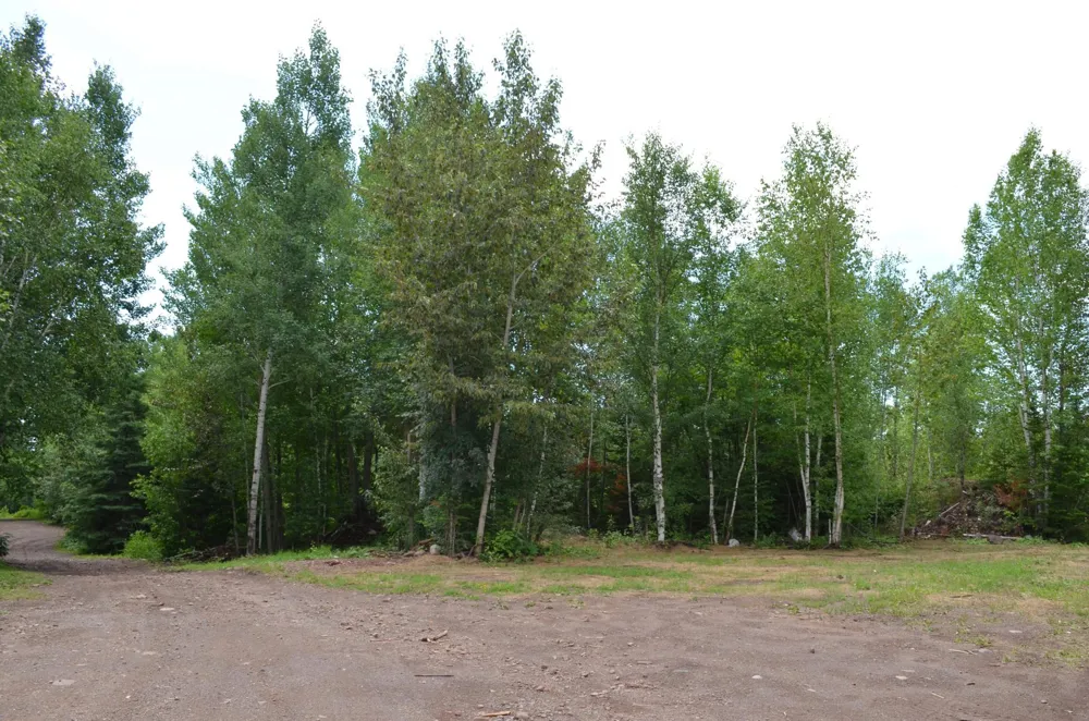 1238 Lindgren Road Two Harbors, MN 55616