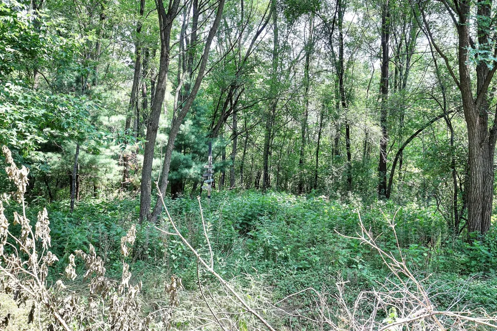 13513 Crooked Lake Boulevard NW Andover, MN 55304