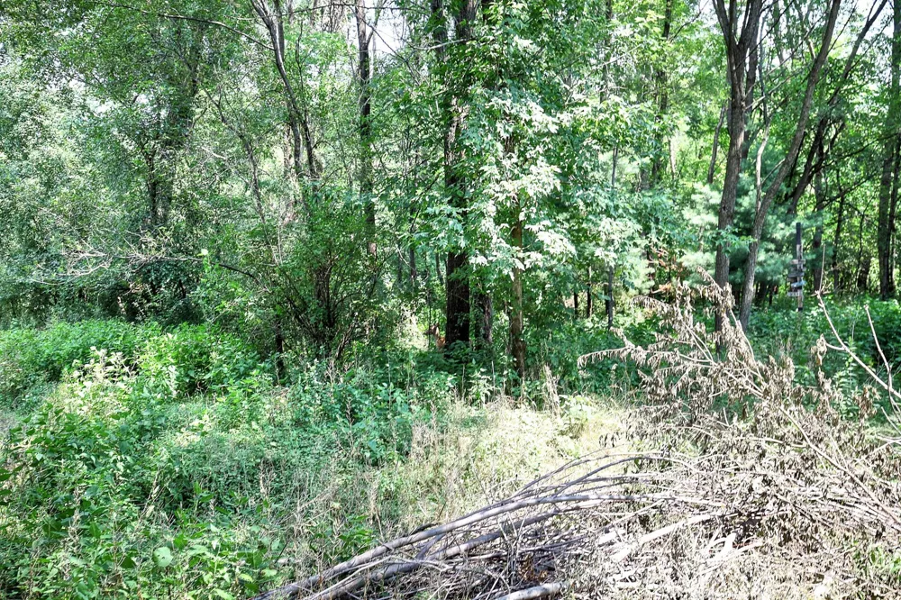13513 Crooked Lake Boulevard NW Andover, MN 55304