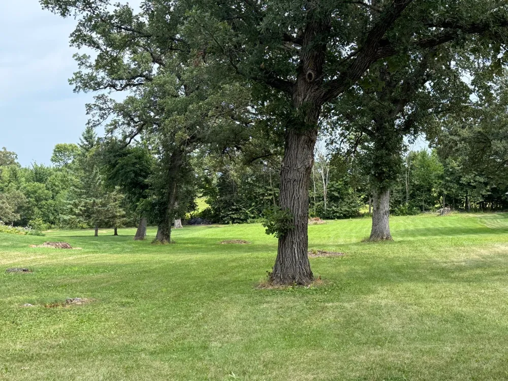 1806 Minnehuta Drive Fergus Falls, MN 56537