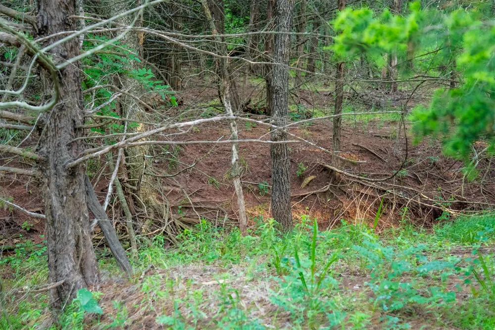 1 E Lone Chimney Road Glencoe, OK 74032