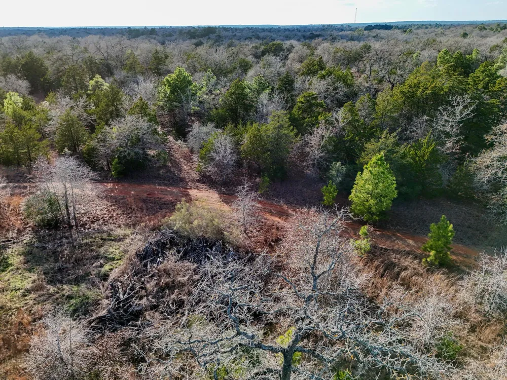 3 South Old Potato Road Paige, TX 78659