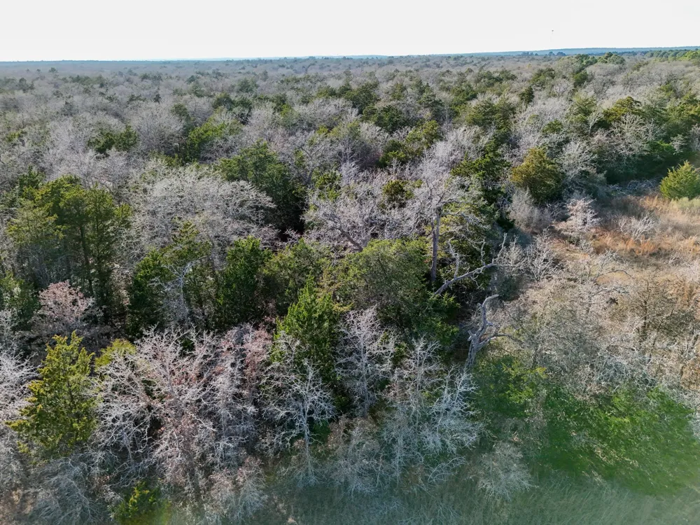 3 South Old Potato Road Paige, TX 78659