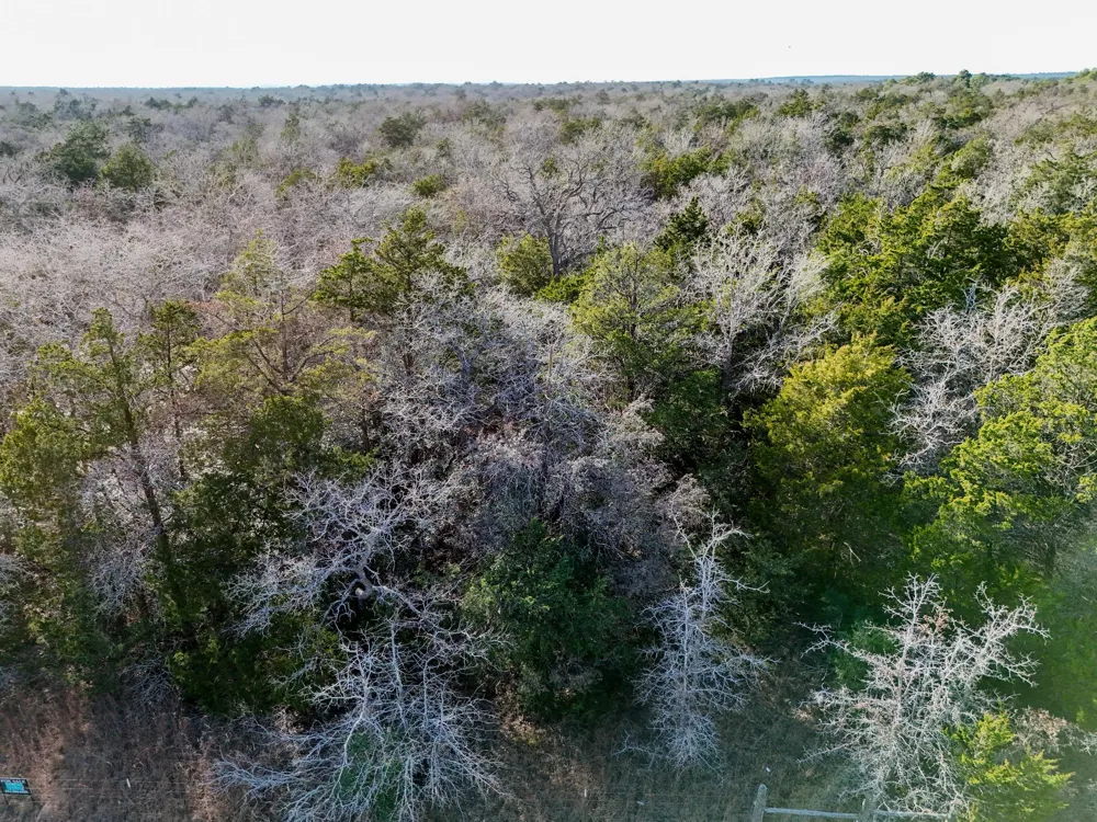 3 South Old Potato Road Paige, TX 78659