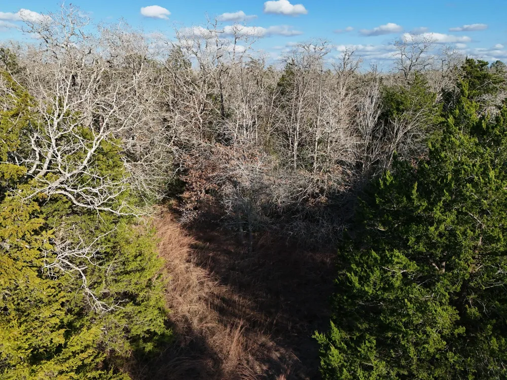 3 South Old Potato Road Paige, TX 78659