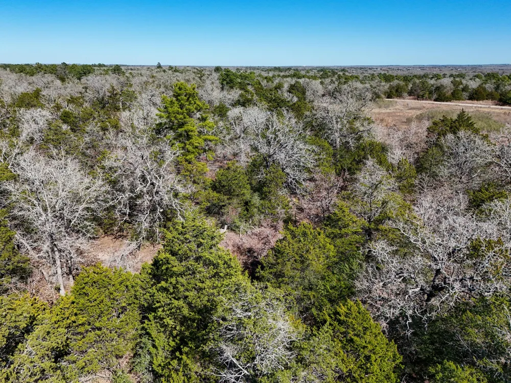 3 South Old Potato Road Paige, TX 78659