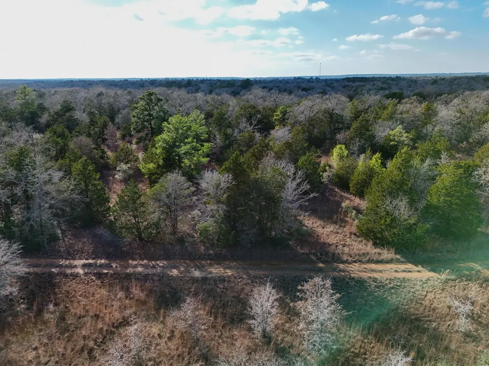 3 South Old Potato Road Paige, TX 78659