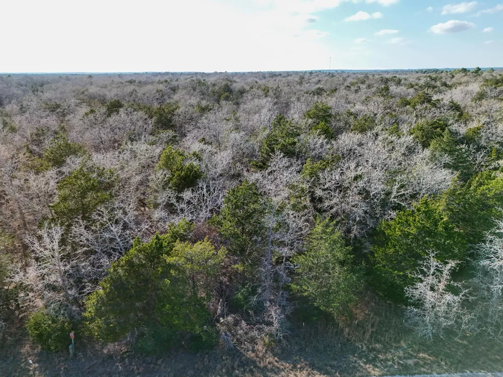 3 South Old Potato Road Paige, TX 78659