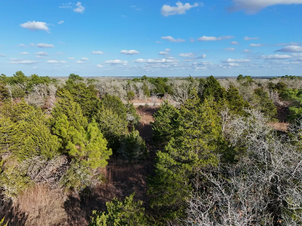 3 South Old Potato Road Paige, TX 78659