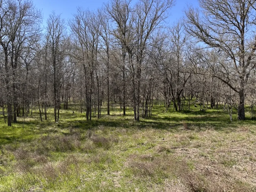 18101 Littig Road Elgin, TX 78621