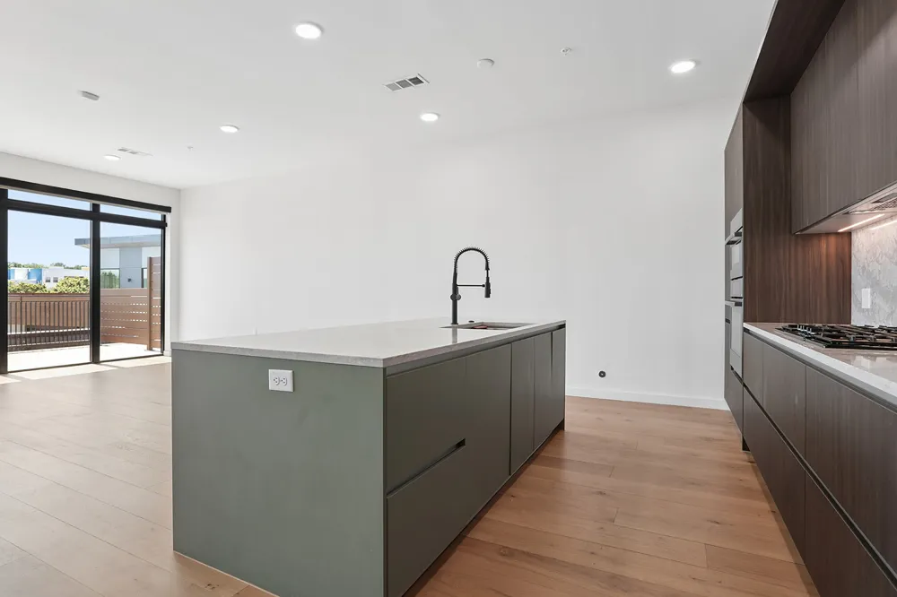 2209 S 1st Street #409 Austin, TX 78704