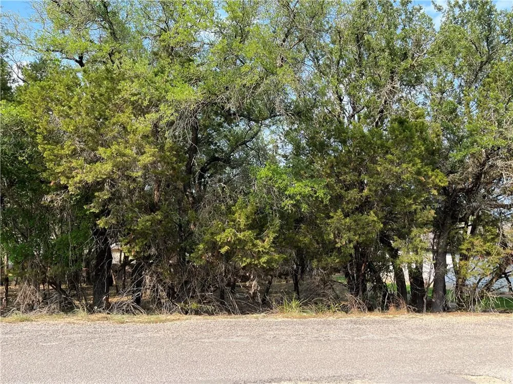 21212 Santa Rosa Avenue Lago Vista, TX 78645
