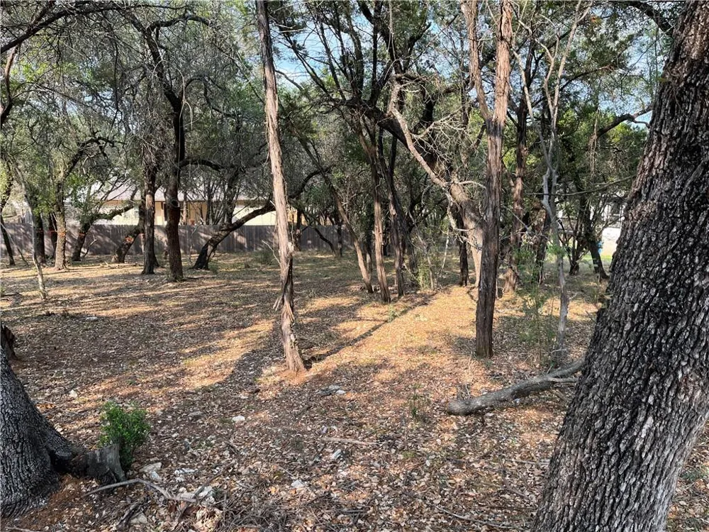 21212 Santa Rosa Avenue Lago Vista, TX 78645