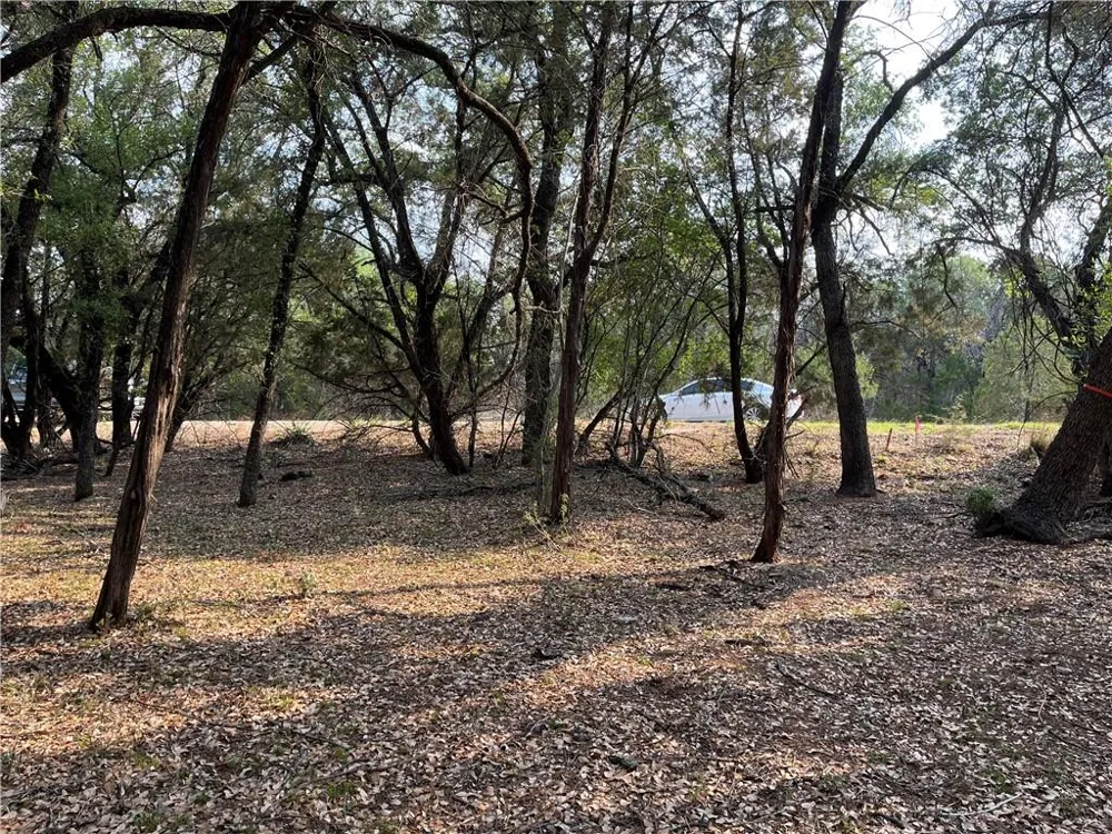 21212 Santa Rosa Avenue Lago Vista, TX 78645