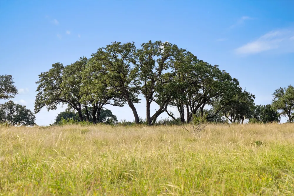 2915 Spring Crossing Junction, TX 76849