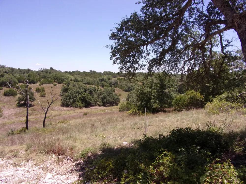 Twisted Oak Trail Blanco, TX 78606