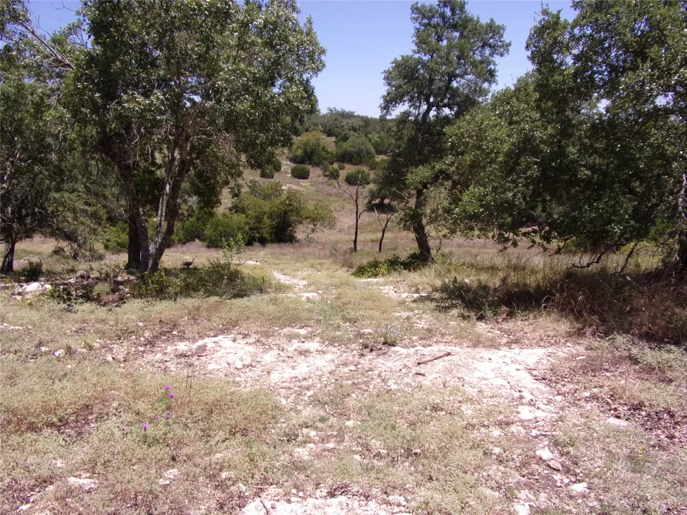 Twisted Oak Trail Blanco, TX 78606