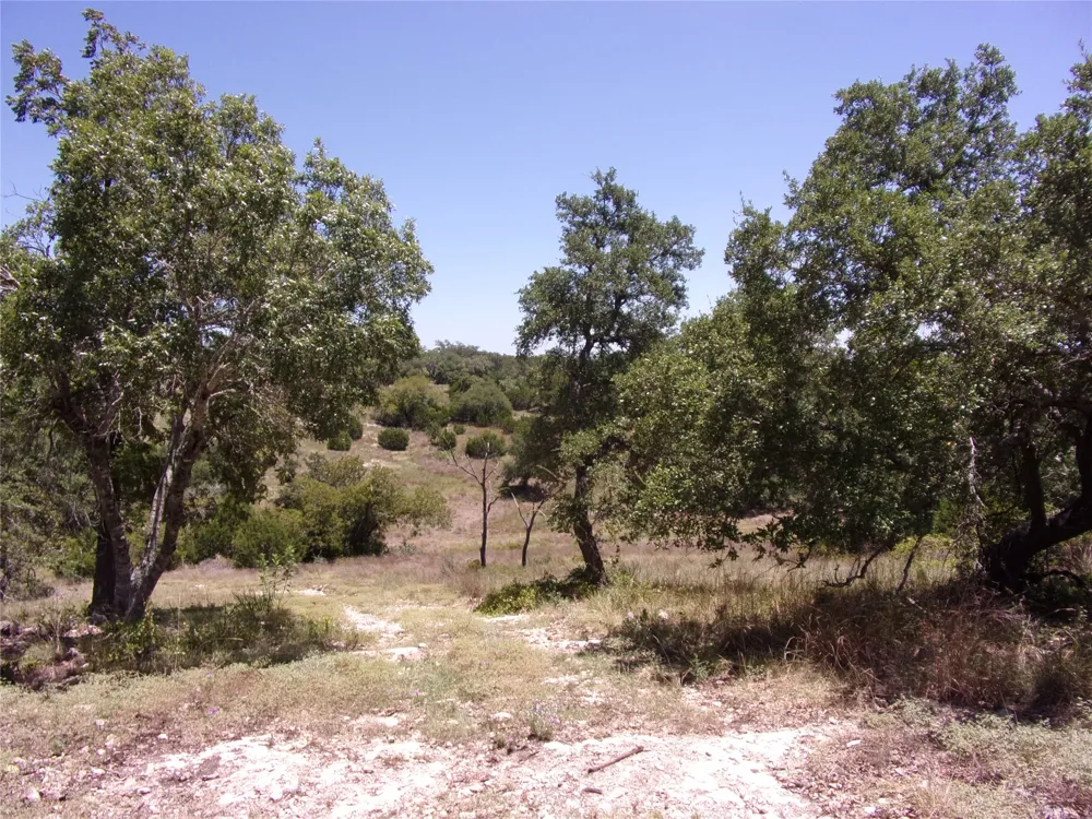 Twisted Oak Trail Blanco, TX 78606