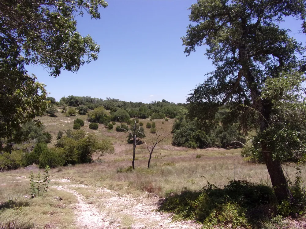Twisted Oak Trail Blanco, TX 78606