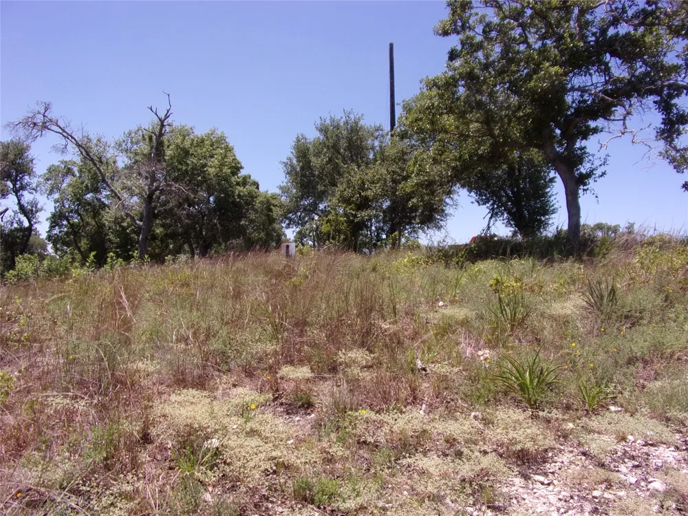 Twisted Oak Trail Blanco, TX 78606