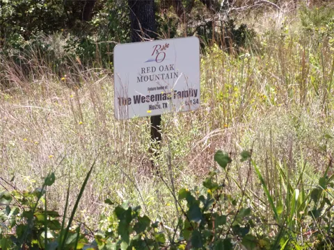 Twisted Oak Trail