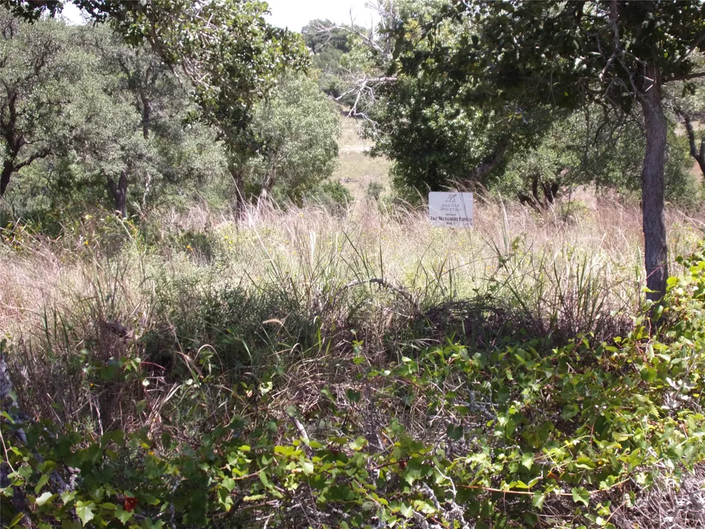 Twisted Oak Trail Blanco, TX 78606