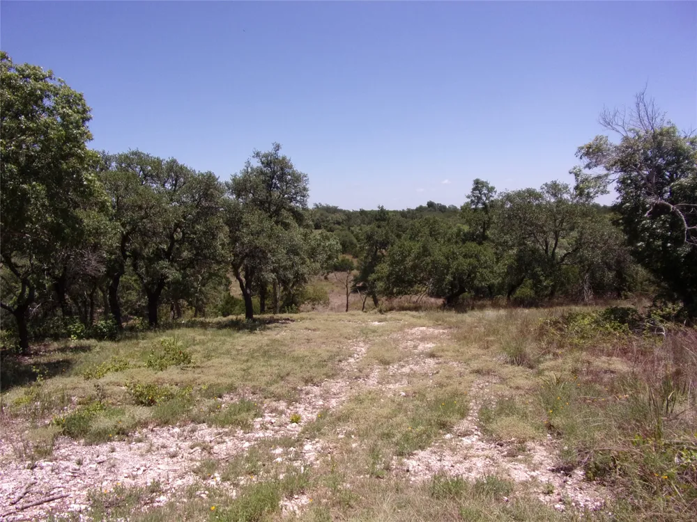 Twisted Oak Trail Blanco, TX 78606