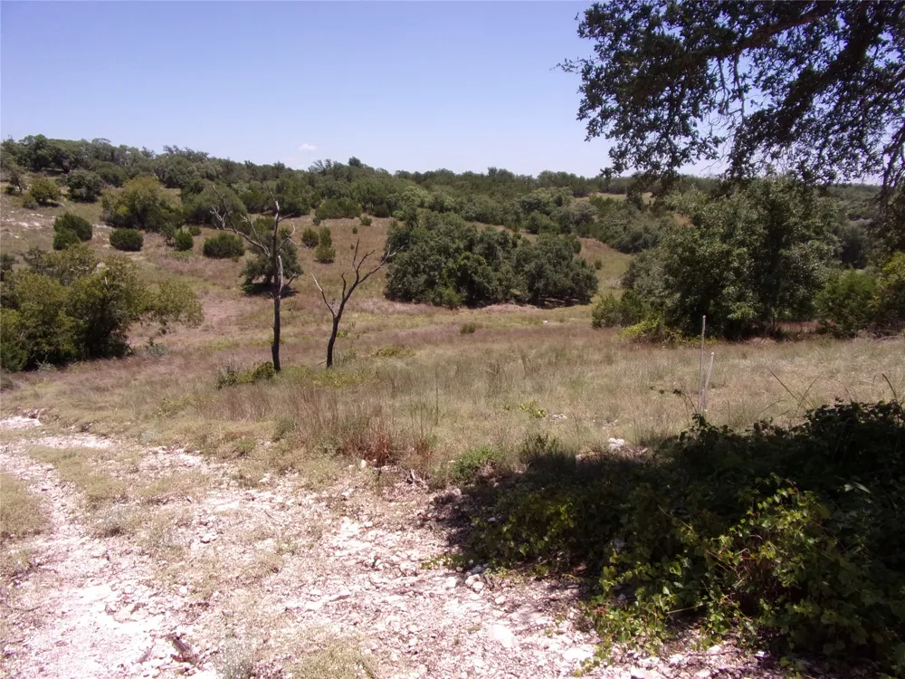 Twisted Oak Trail Blanco, TX 78606
