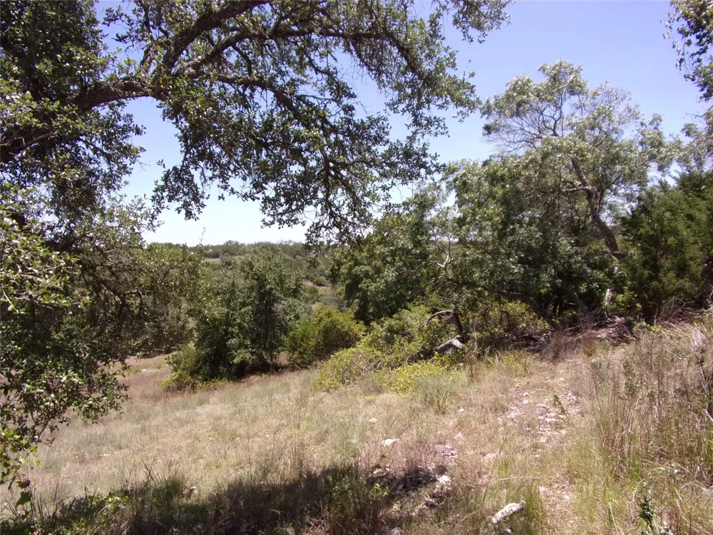Twisted Oak Trail Blanco, TX 78606