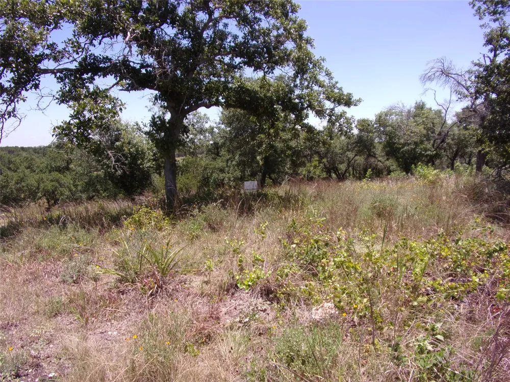 Twisted Oak Trail Blanco, TX 78606