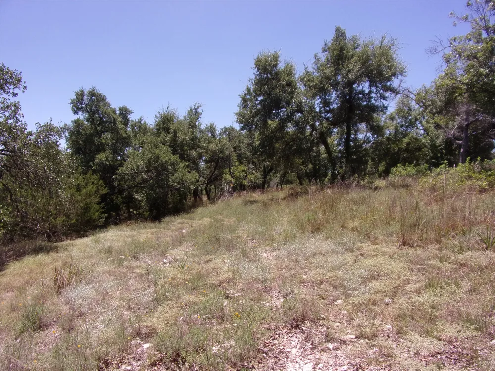 Twisted Oak Trail Blanco, TX 78606