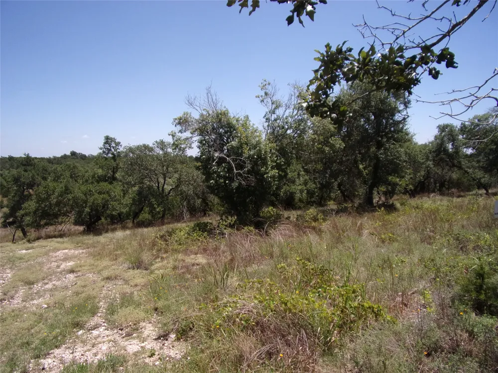 Twisted Oak Trail Blanco, TX 78606