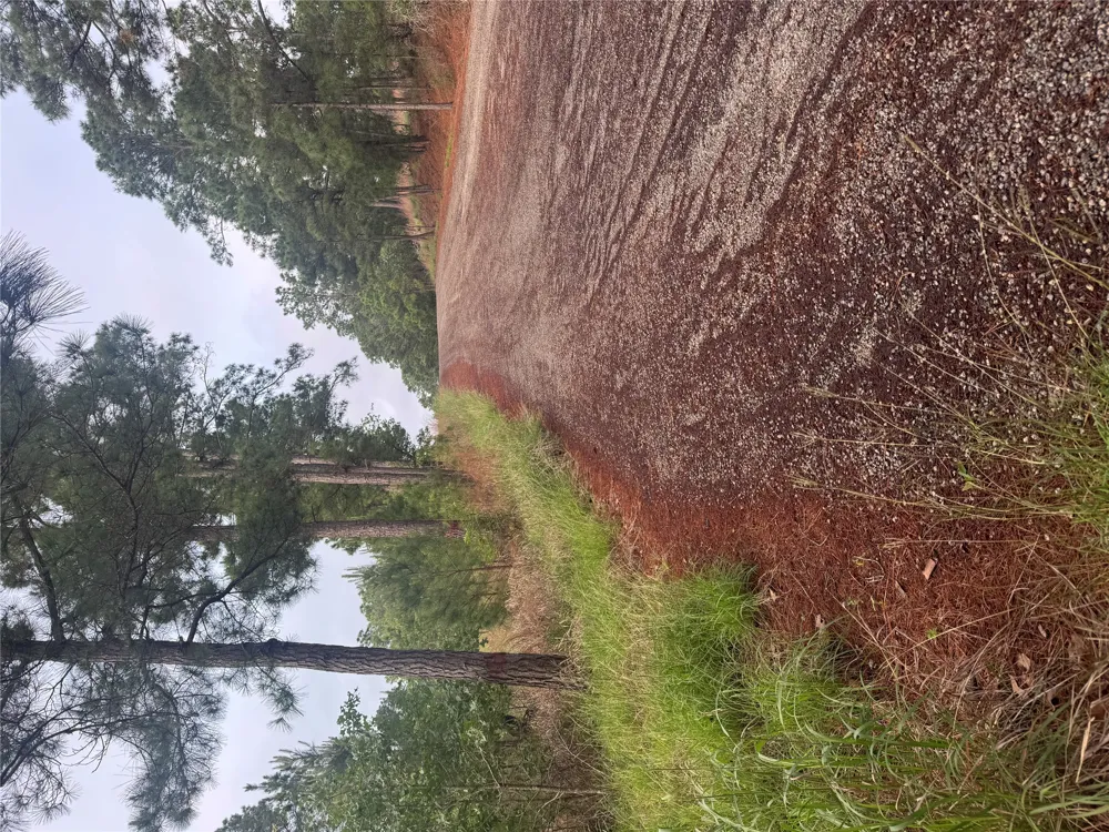 1490 Haleakala Bastrop, TX 78602