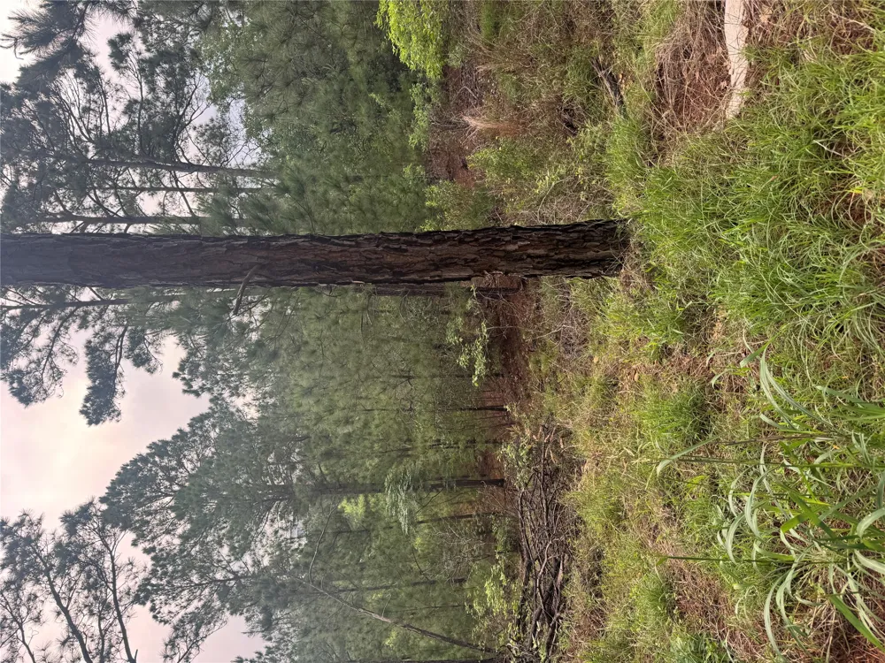 1490 Haleakala Bastrop, TX 78602