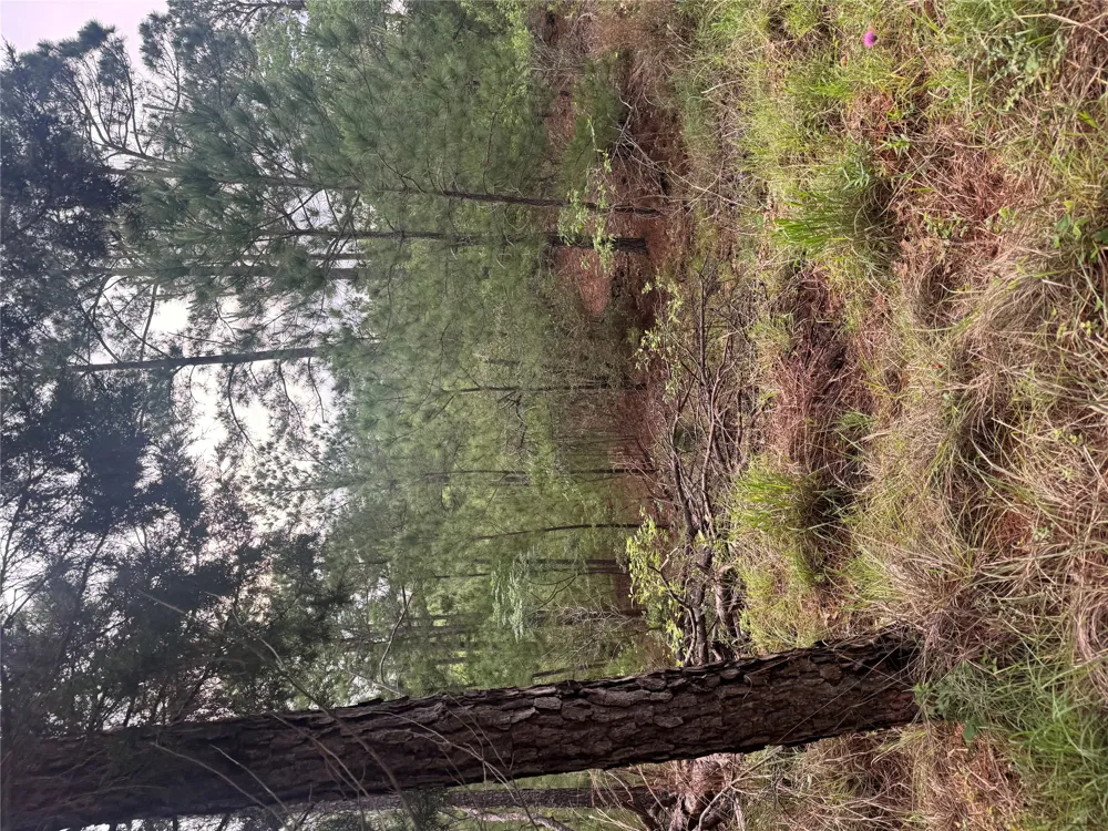 1490 Haleakala Bastrop, TX 78602