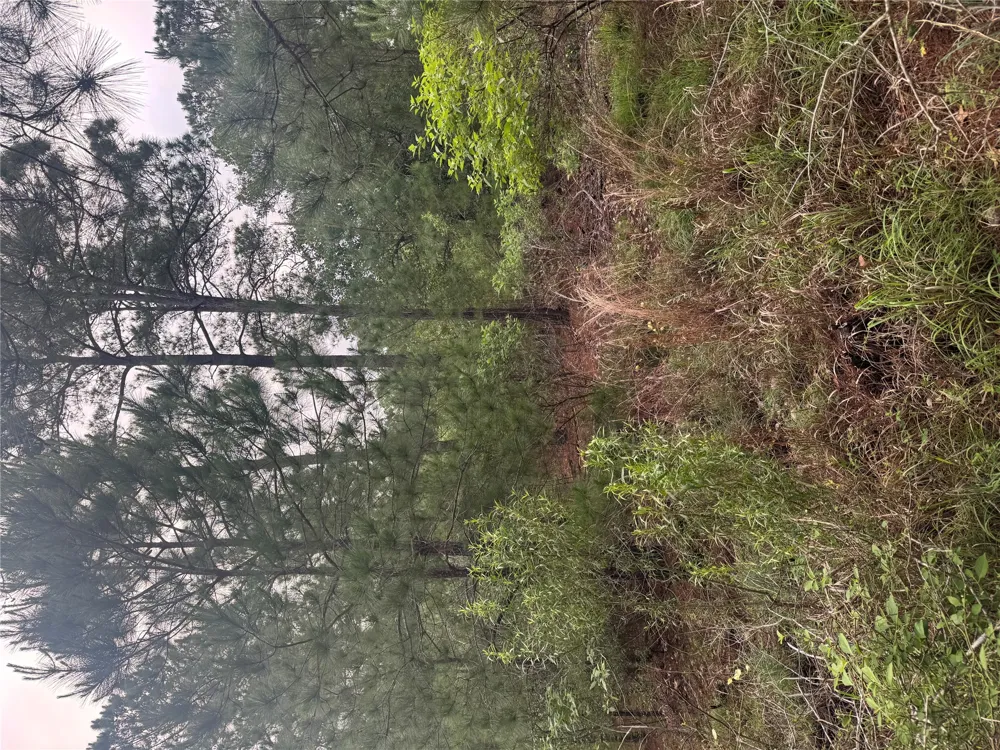 1490 Haleakala Bastrop, TX 78602