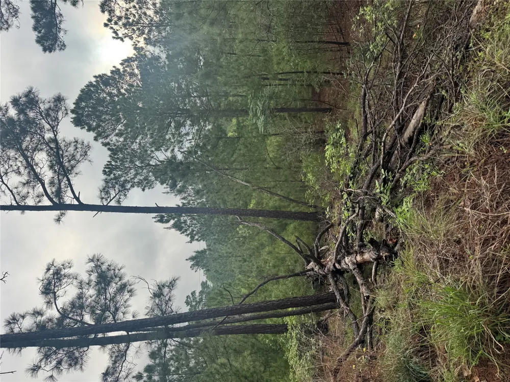 1490 Haleakala Bastrop, TX 78602