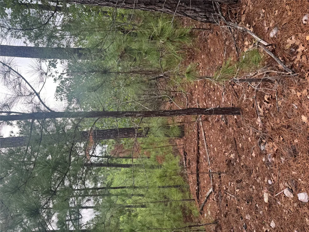 1490 Haleakala Bastrop, TX 78602