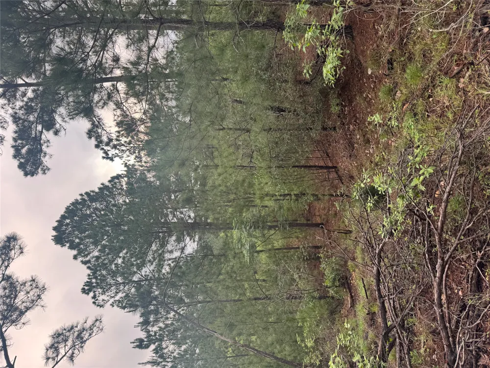 1490 Haleakala Bastrop, TX 78602
