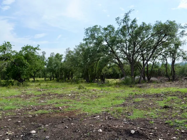 10 Legacy Hills Drive Johnson City, TX 78636