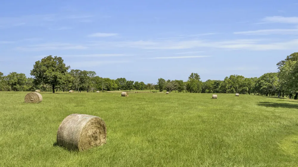 365 County Road 1534 Alba, TX 75410