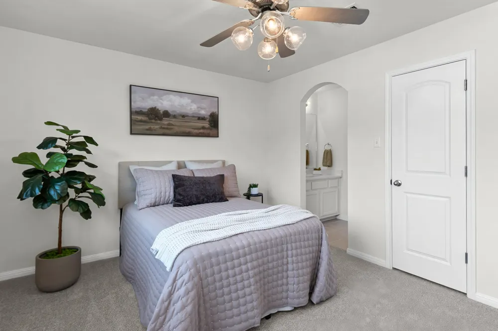 506 Springbok Drive Round Rock, TX 78681