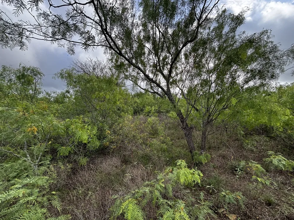 805 County Road 467 Thrall, TX 76578