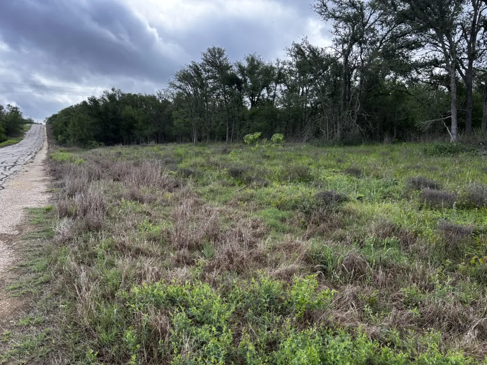 805 County Road 467 Thrall, TX 76578