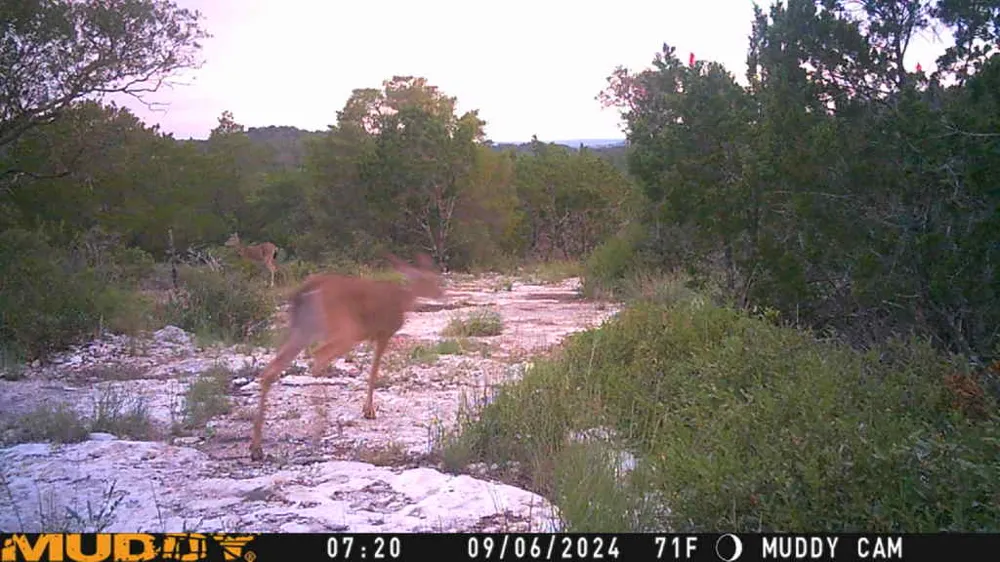 County Road 635 Rocksprings, TX 78880