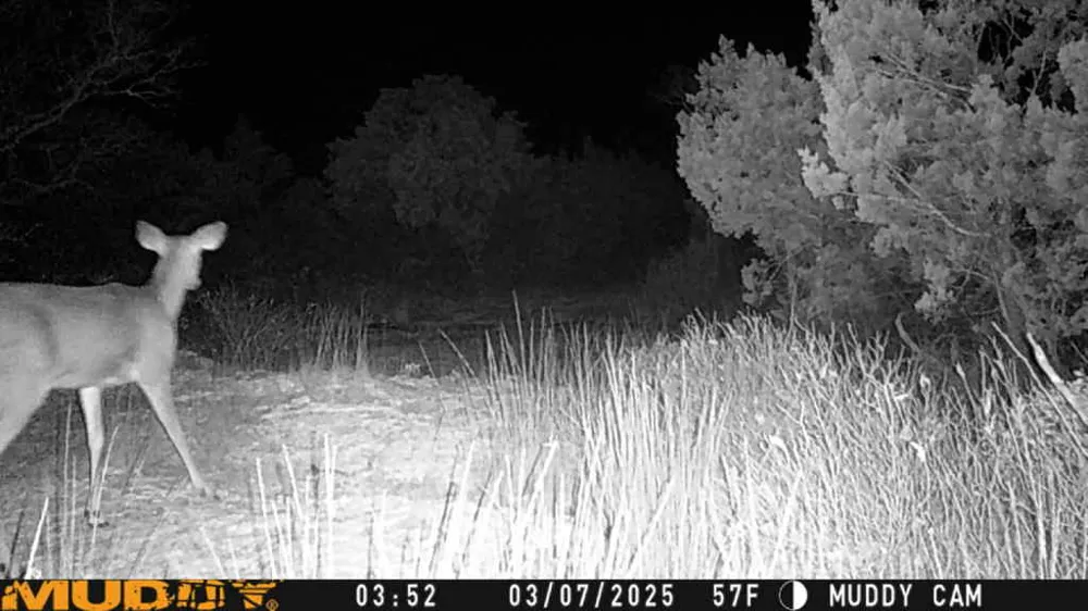 County Road 635 Rocksprings, TX 78880